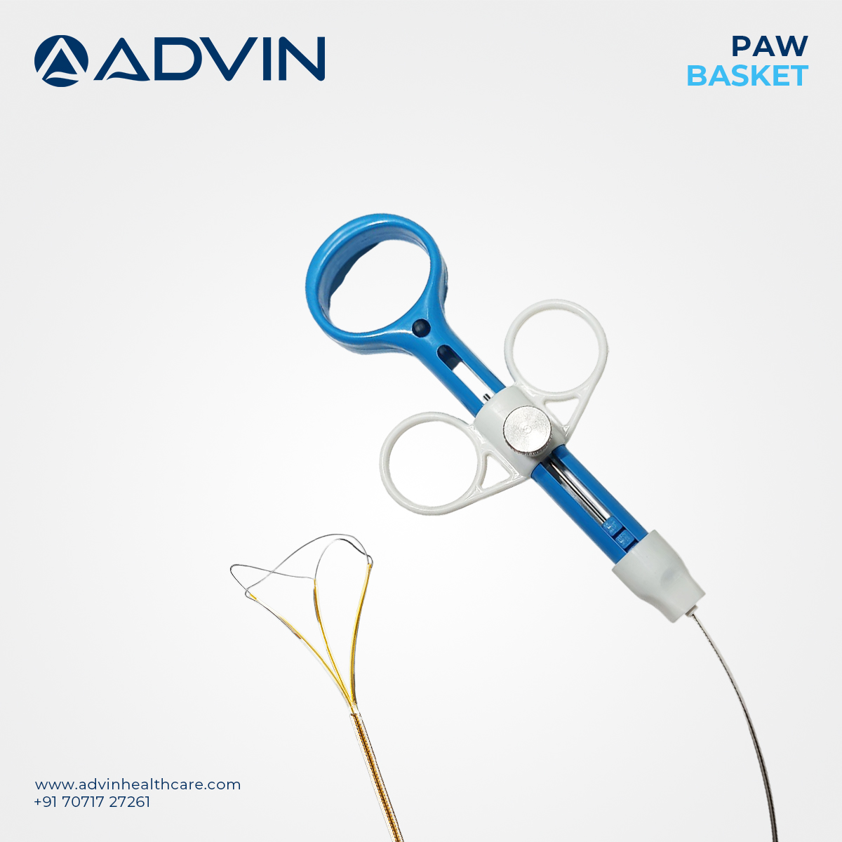 Paw Basket